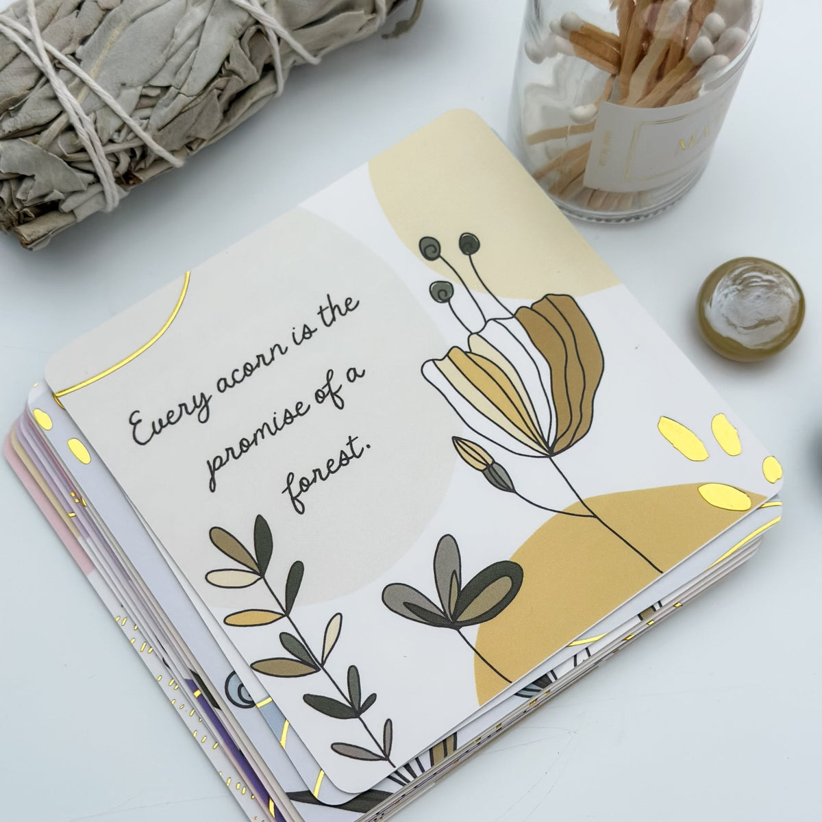 Wild Roots Encouragement Cards - Gentle Nudges